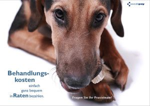 Poster Motiv 2 DIN A4 quer